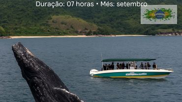 Avistamento de Baleias + 01 Destino Turístico
